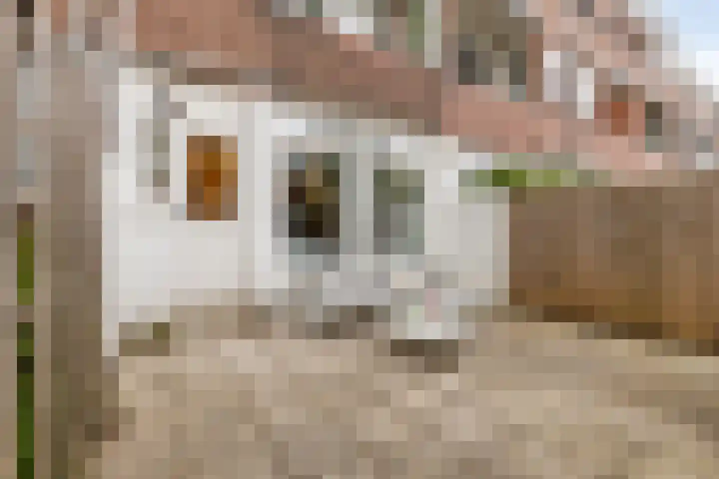 Texelsestraat 67 C Rotterdam thumbnail 4