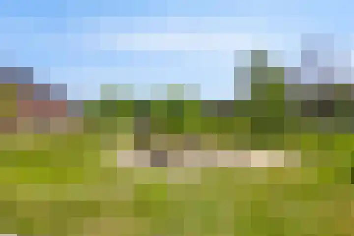 Texelstraat 4 Breda thumbnail 34