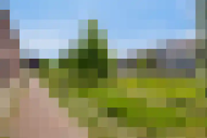 Texelstraat 4 Breda thumbnail 37