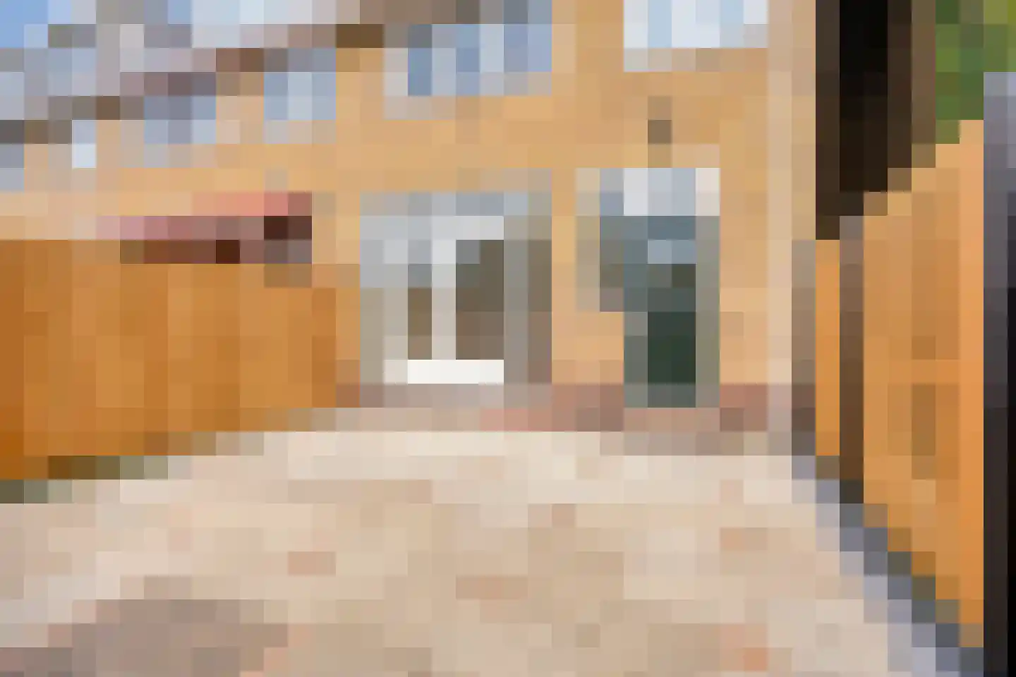 Texelstraat 47 Zaandam thumbnail 22