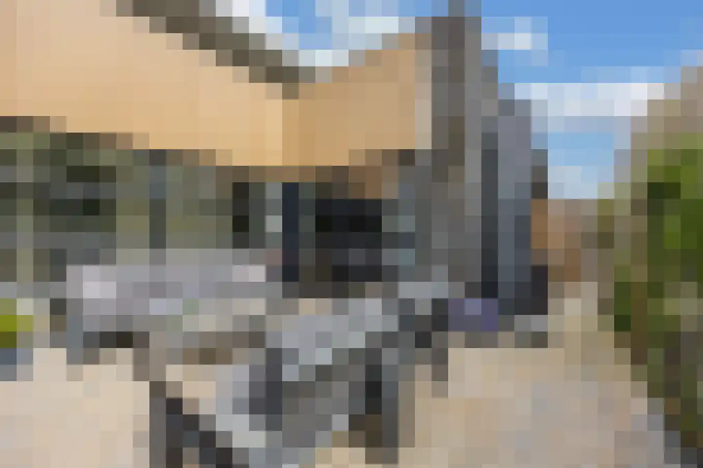 Texelstraat 52 Almere thumbnail 30