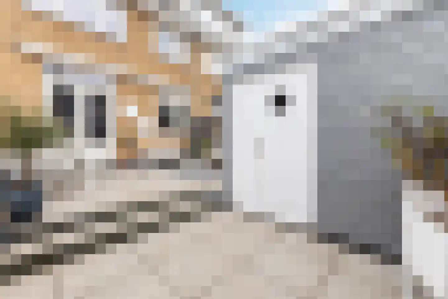 Texelstraat 63 Zaandam thumbnail 29