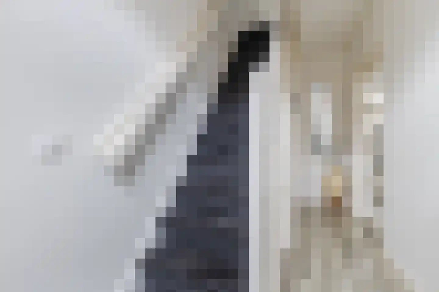 Texelstraat 63 Zaandam thumbnail 8