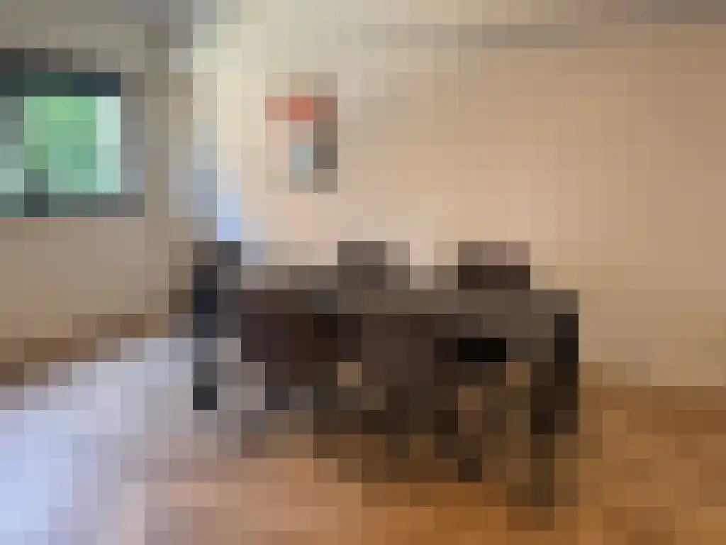 Texelstraat 88 Amstelveen thumbnail 4