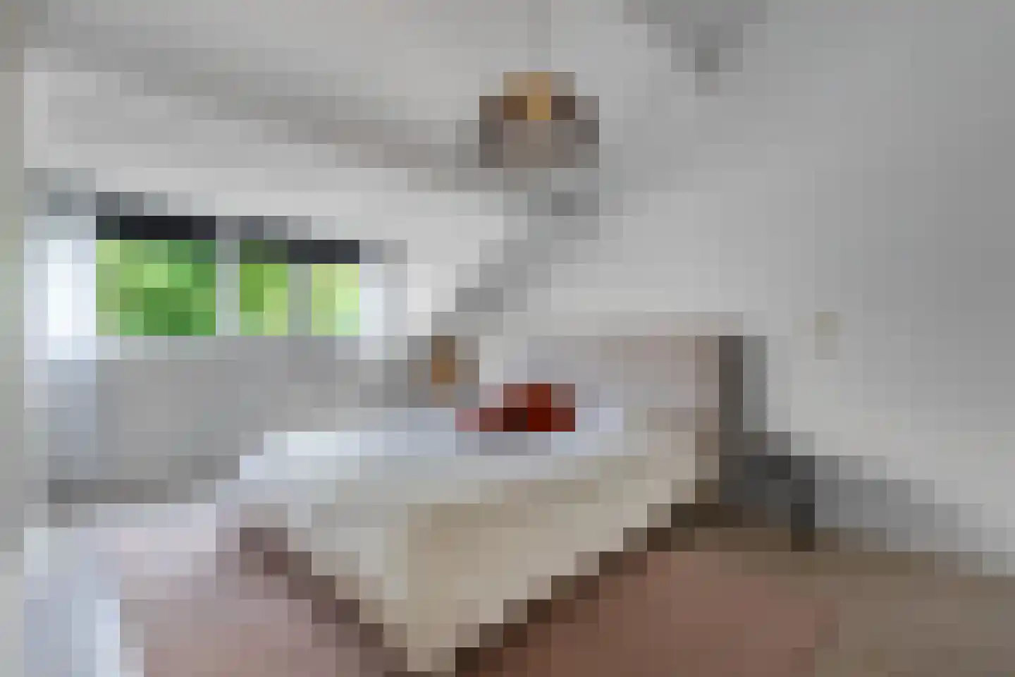 Texelstroom 1 Emmeloord thumbnail 17