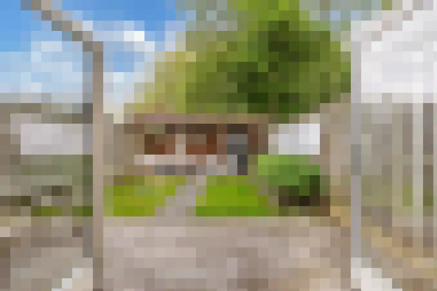 Texelstroom 1 Emmeloord thumbnail 27