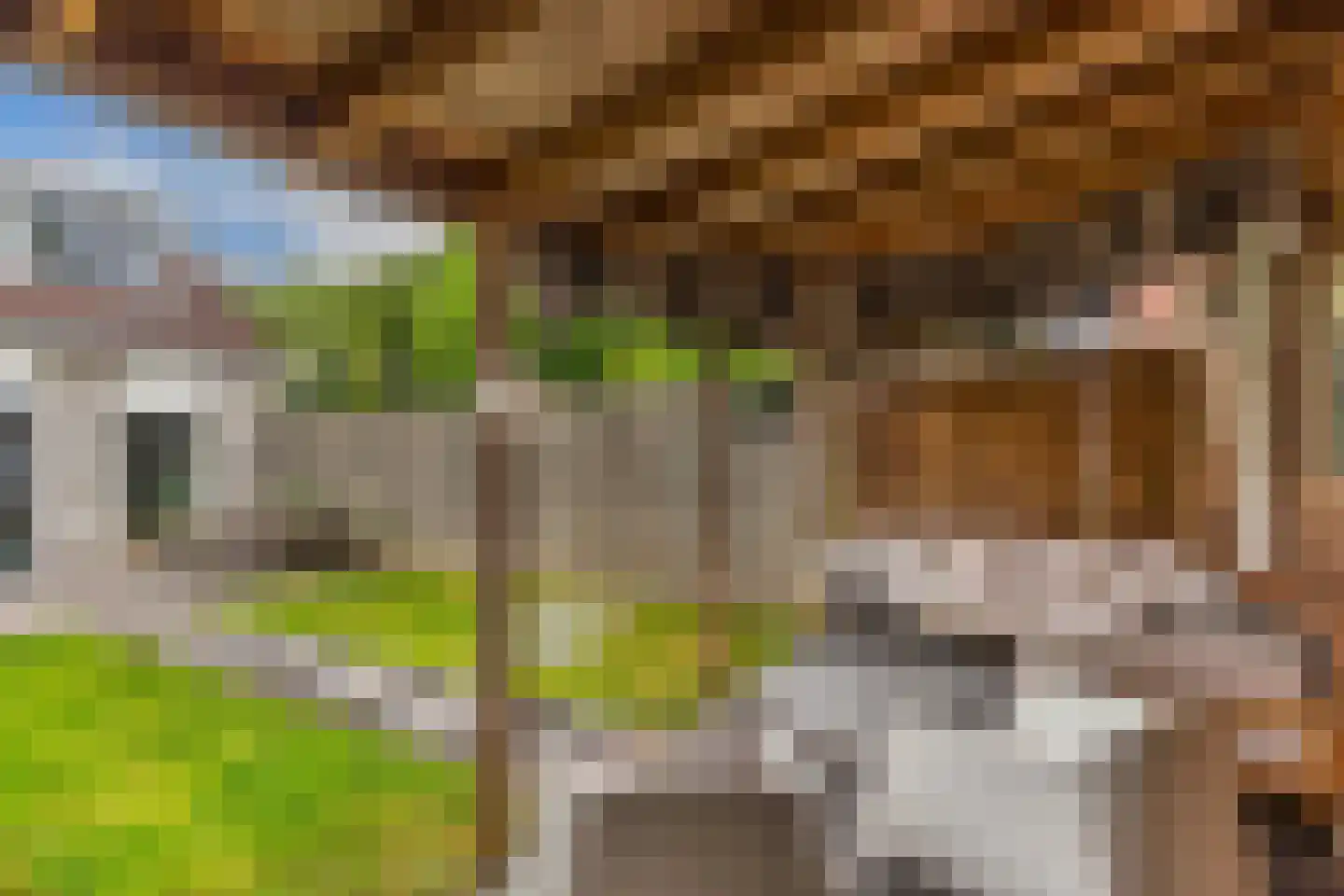 Texelstroom 1 Emmeloord thumbnail 29