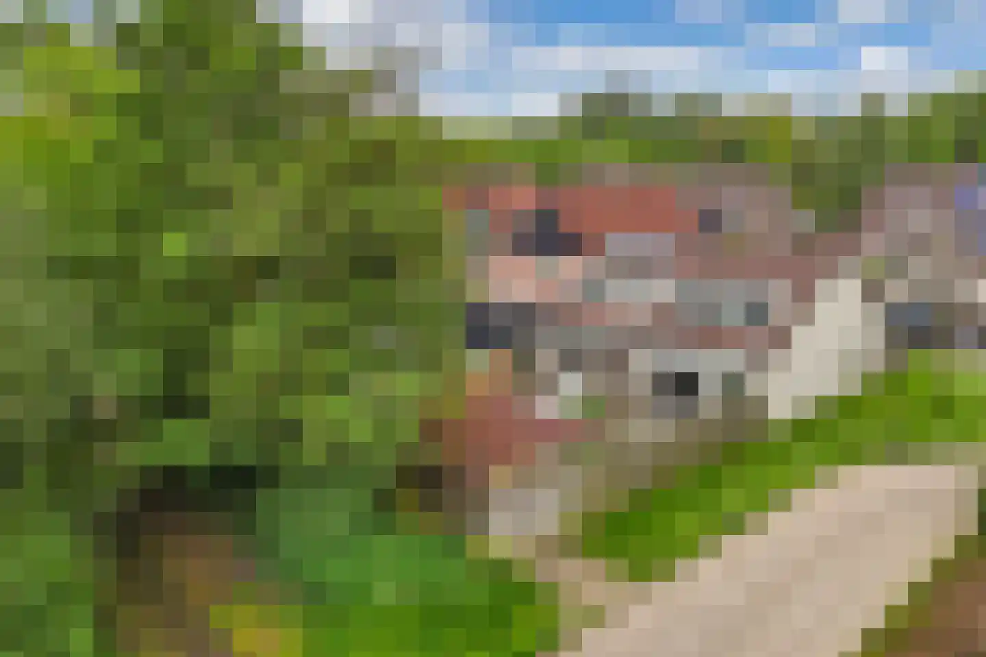 Texelstroom 1 Emmeloord thumbnail 34
