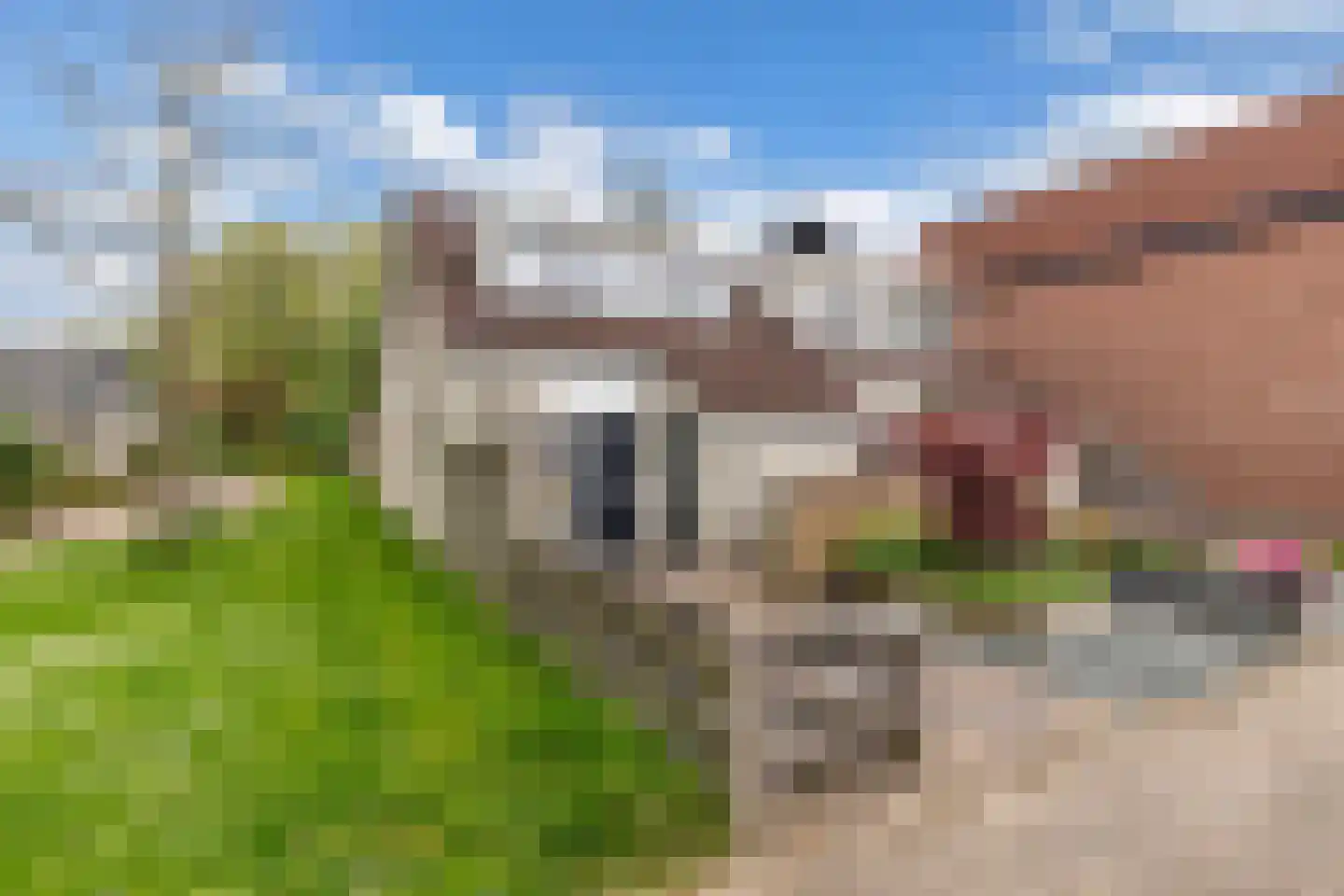 Texelstroom 1 Emmeloord thumbnail 35