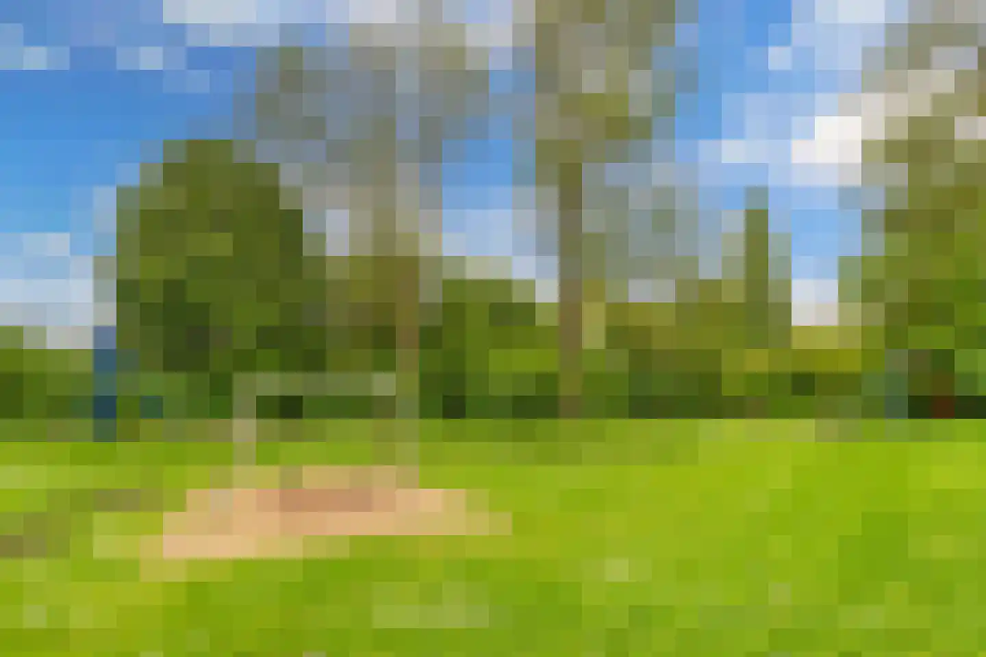 Texelstroom 1 Emmeloord thumbnail 38