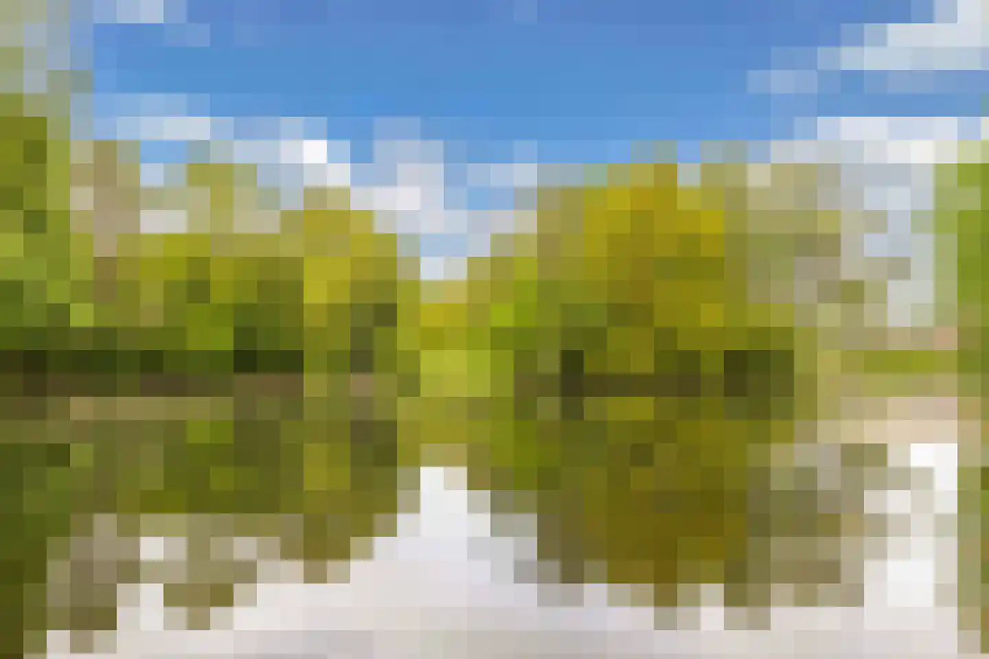 Texelstroom 1 Emmeloord thumbnail 39