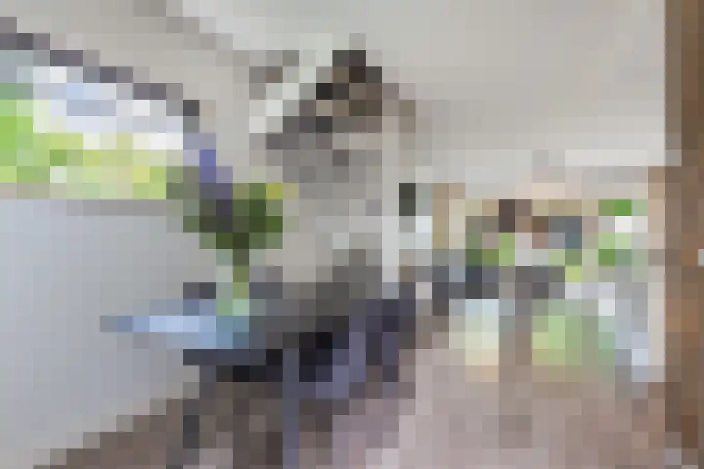 Texelstroom 1 Emmeloord thumbnail 9