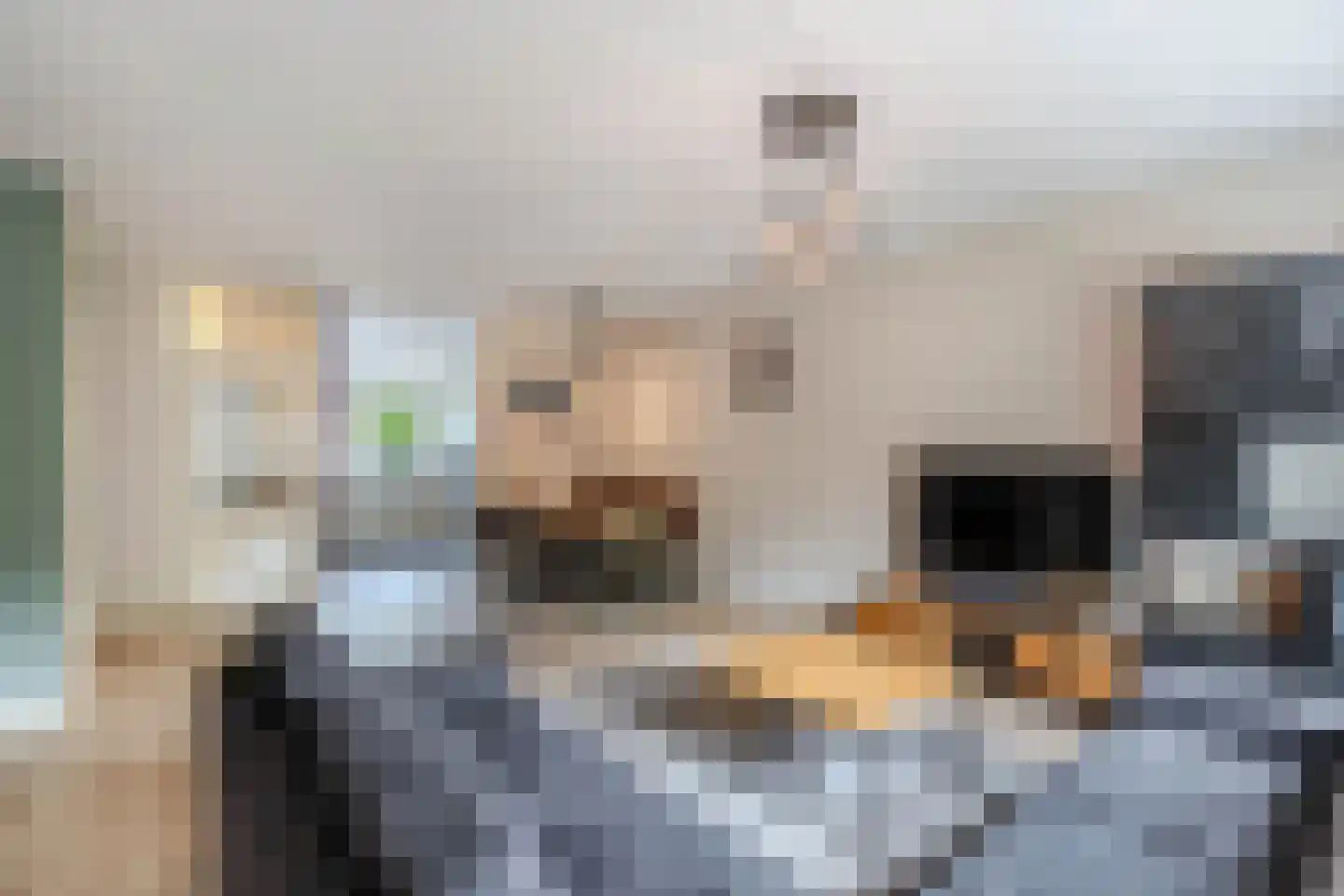 Texelstroom 14 Emmeloord thumbnail 14
