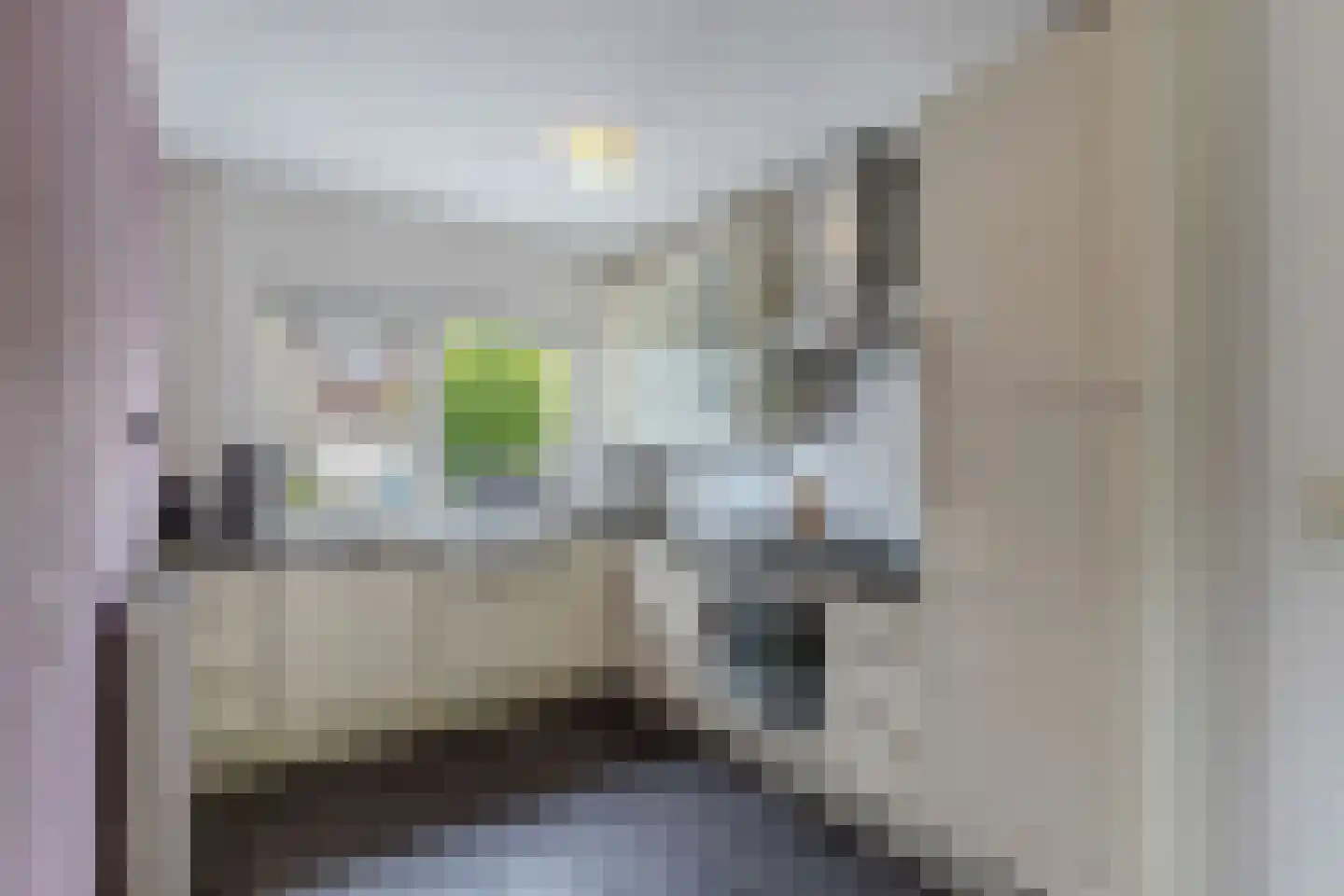 Texelstroom 14 Emmeloord thumbnail 17