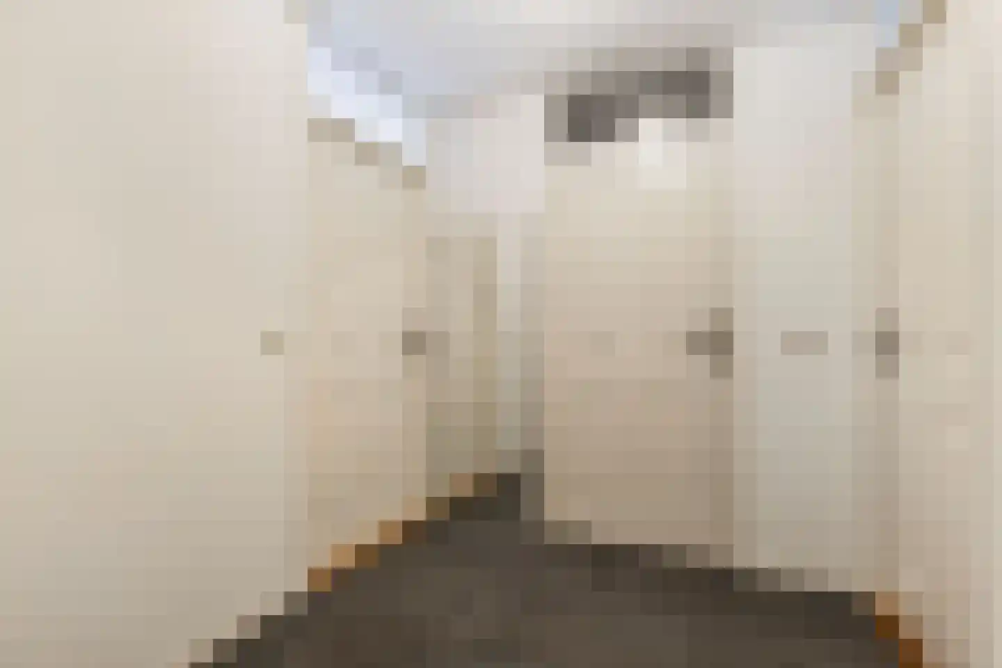 Texelstroom 14 Emmeloord thumbnail 21