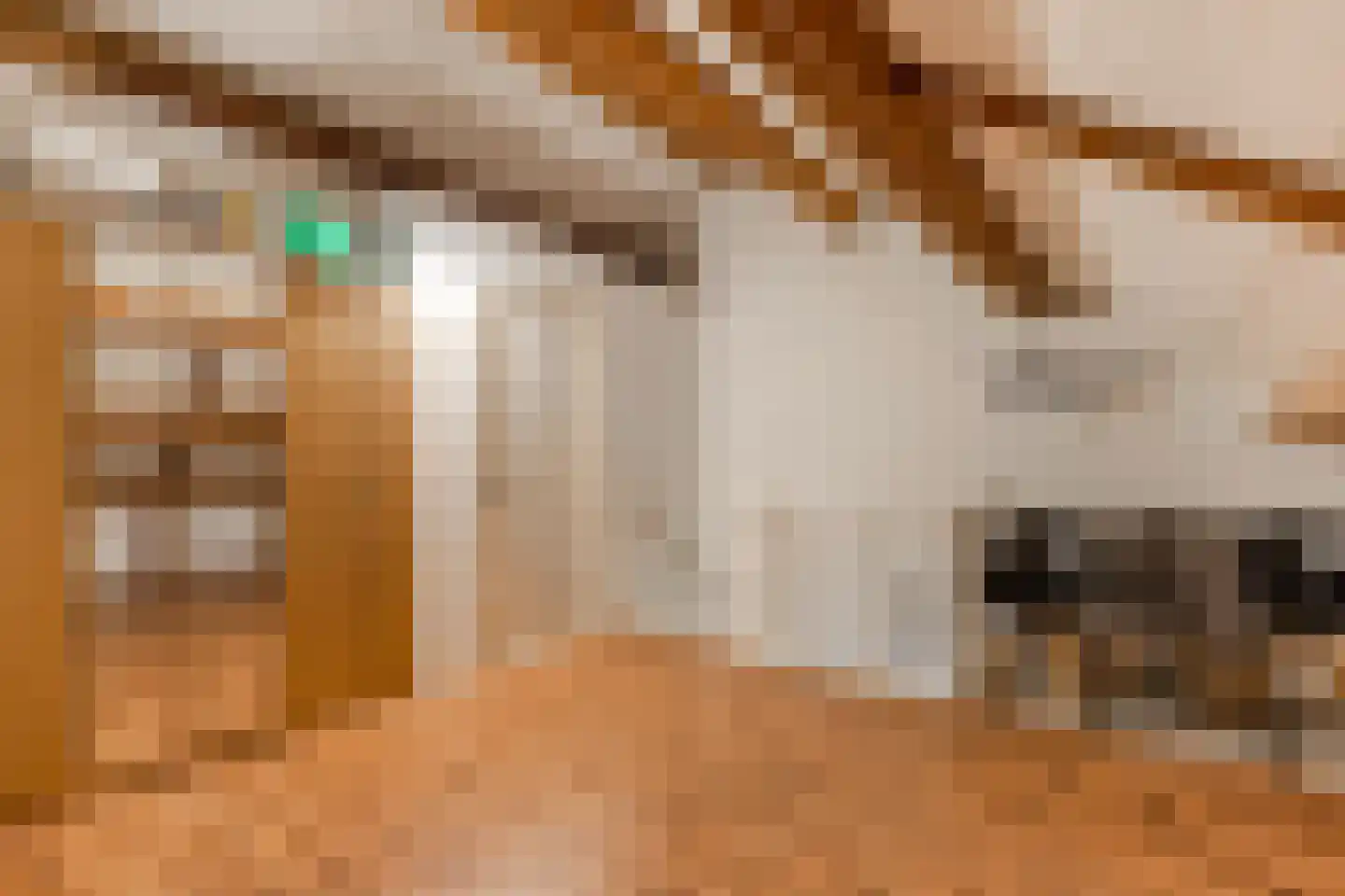 Texelstroom 14 Emmeloord thumbnail 31