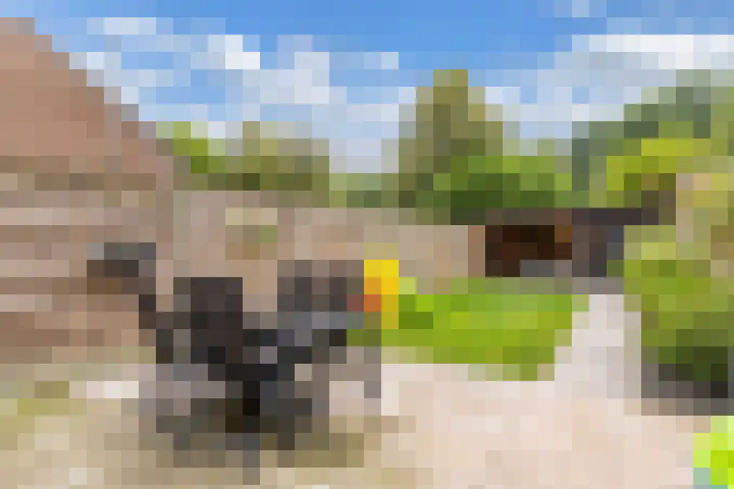 Texelstroom 14 Emmeloord thumbnail 34