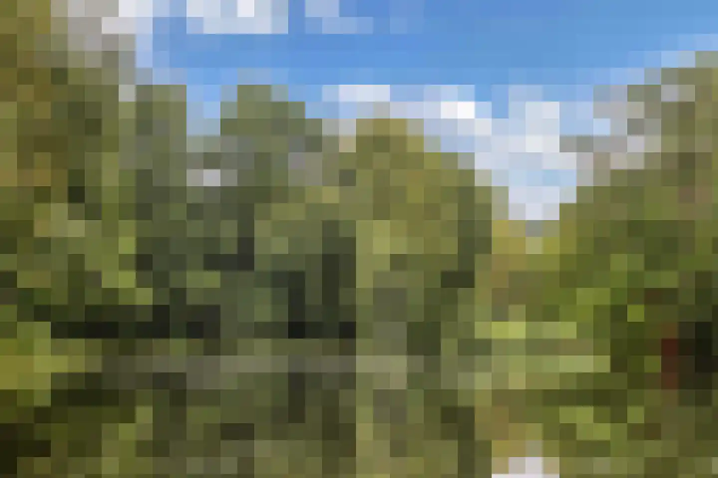 Texelstroom 14 Emmeloord thumbnail 40