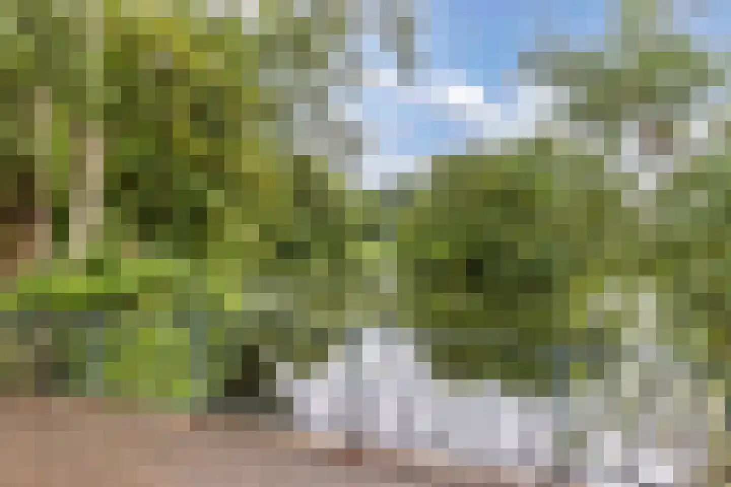 Texelstroom 14 Emmeloord thumbnail 41