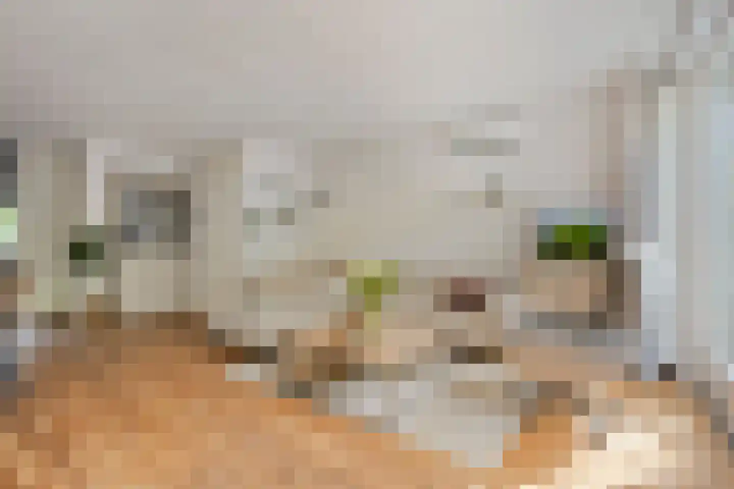 Texelstroom 20 Emmeloord thumbnail 11