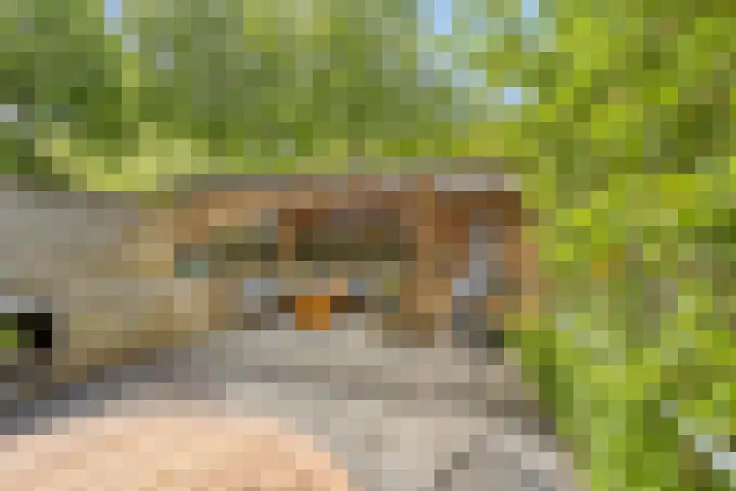 Texelstroom 20 Emmeloord thumbnail 35
