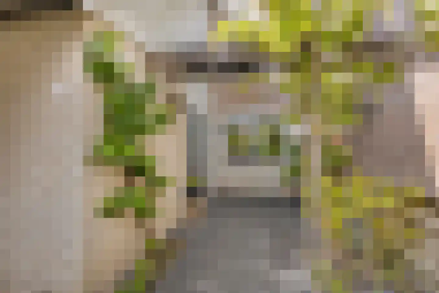 Texelstroom 20 Emmeloord thumbnail 4