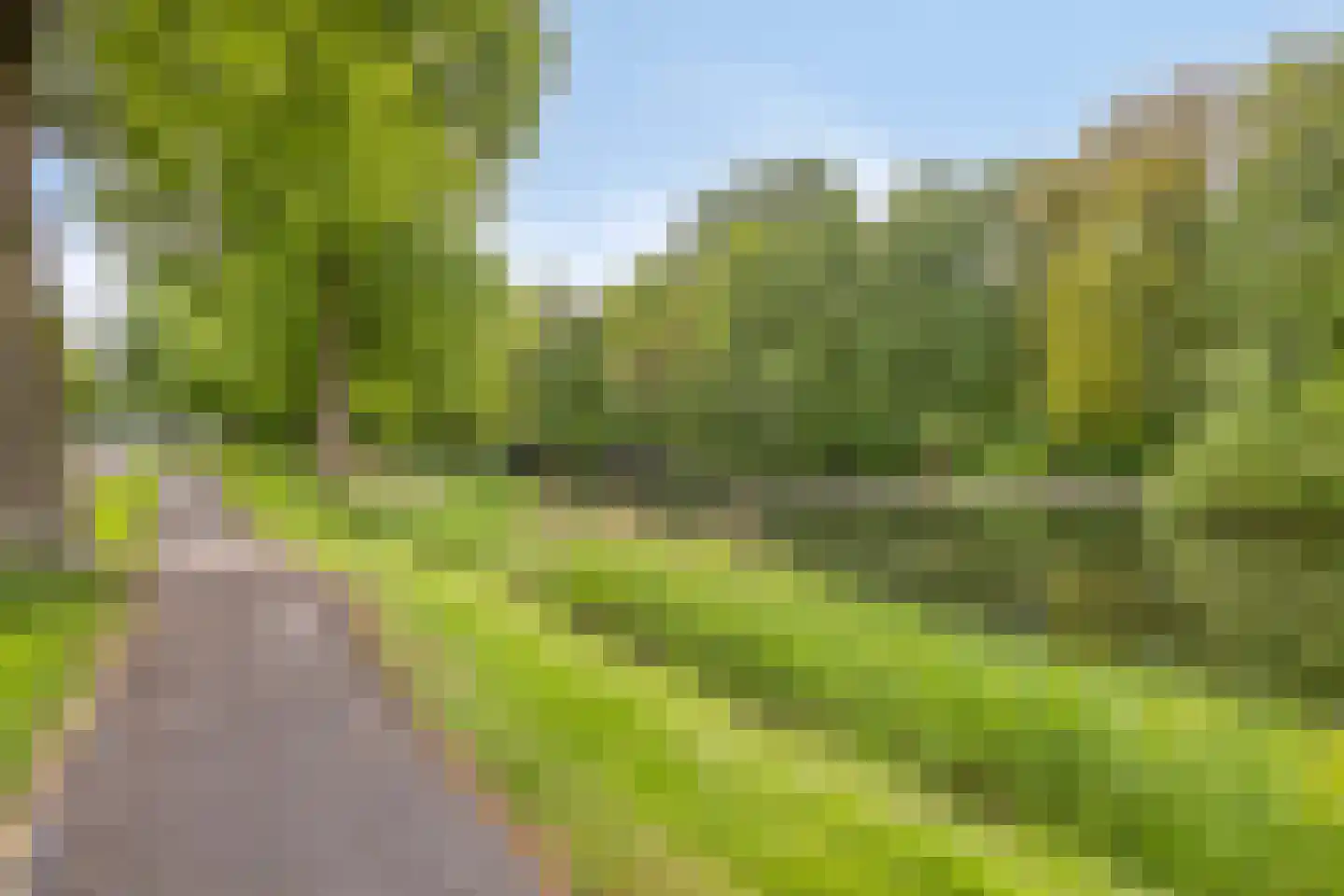 Texelstroom 20 Emmeloord thumbnail 45