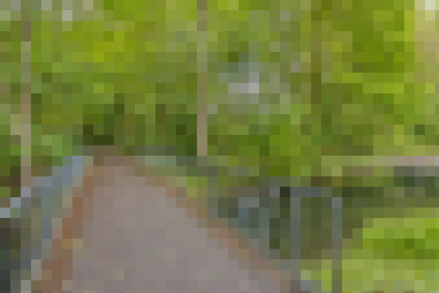 Texelstroom 20 Emmeloord thumbnail 46