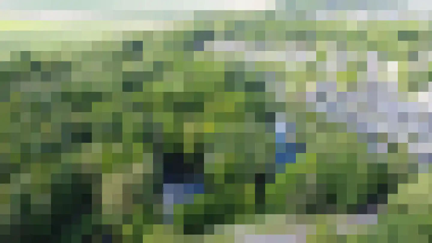 Texelstroom 20 Emmeloord thumbnail 52
