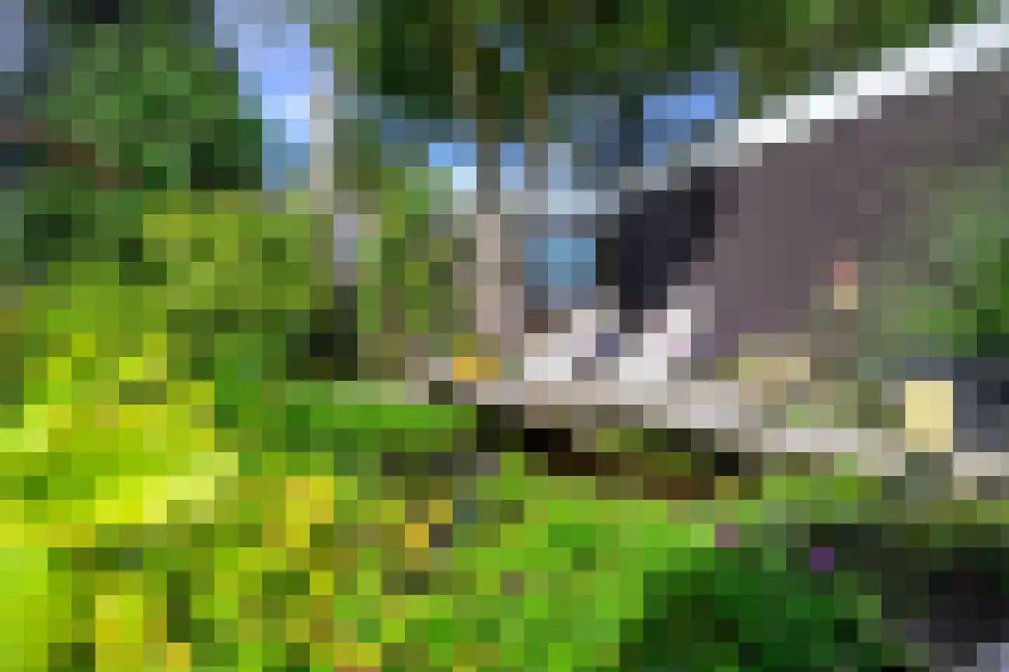 Texelstroom 27 Wieringerwerf thumbnail 12