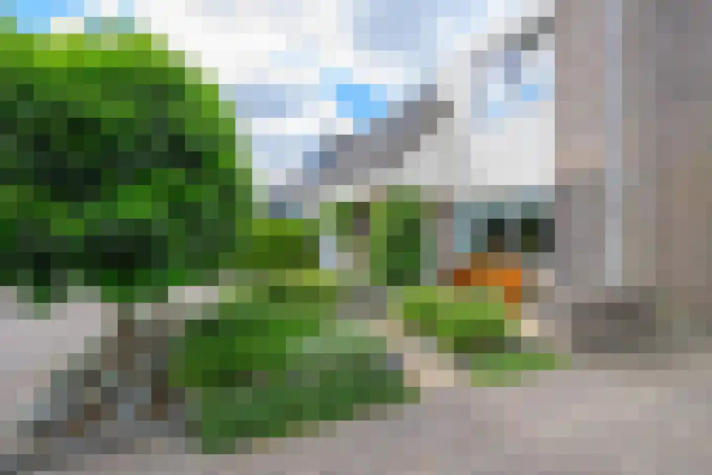 Texelstroom 27 Wieringerwerf thumbnail 46