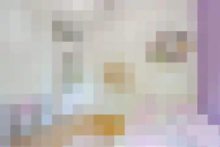 Texelstroom 3 Wieringerwerf thumbnail 22