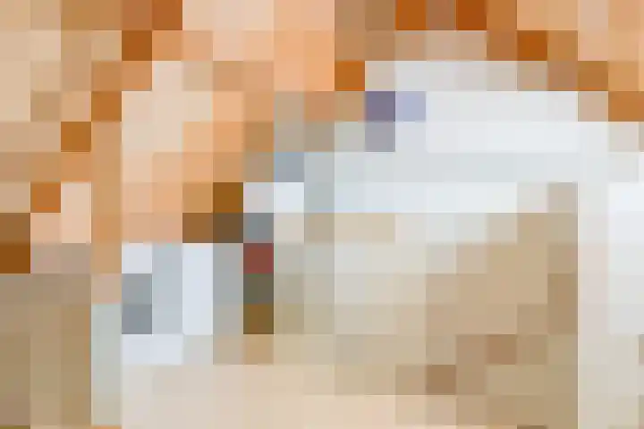 Texelstroom 3 Wieringerwerf thumbnail 27