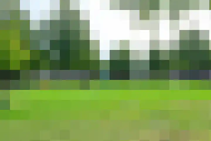 Texelstroom 3 Wieringerwerf thumbnail 32