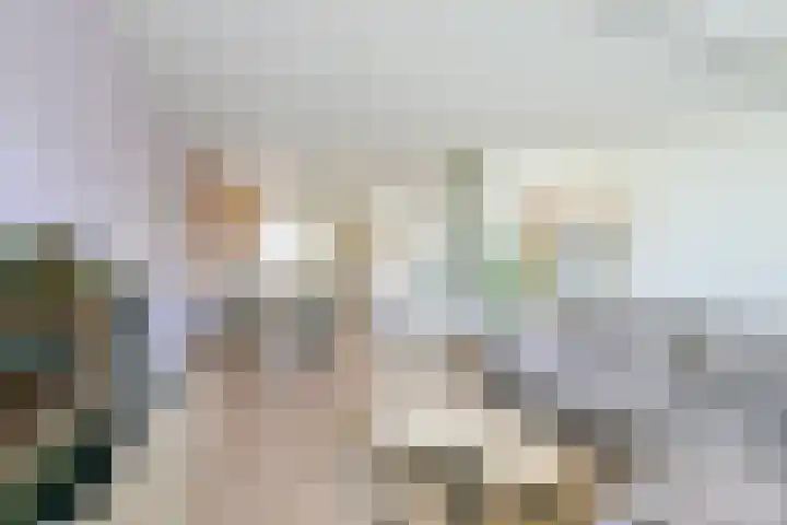 Texelstroom 3 Wieringerwerf thumbnail 5