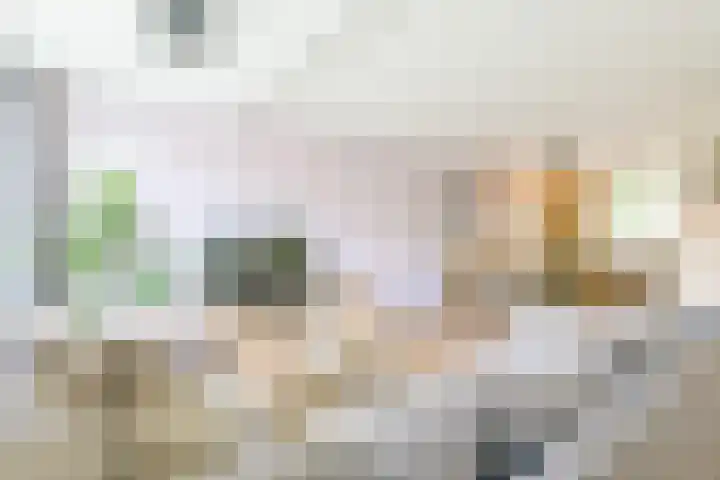 Texelstroom 3 Wieringerwerf thumbnail 9