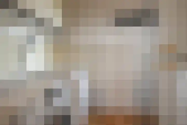 Texelstroom 33 Wieringerwerf thumbnail 14