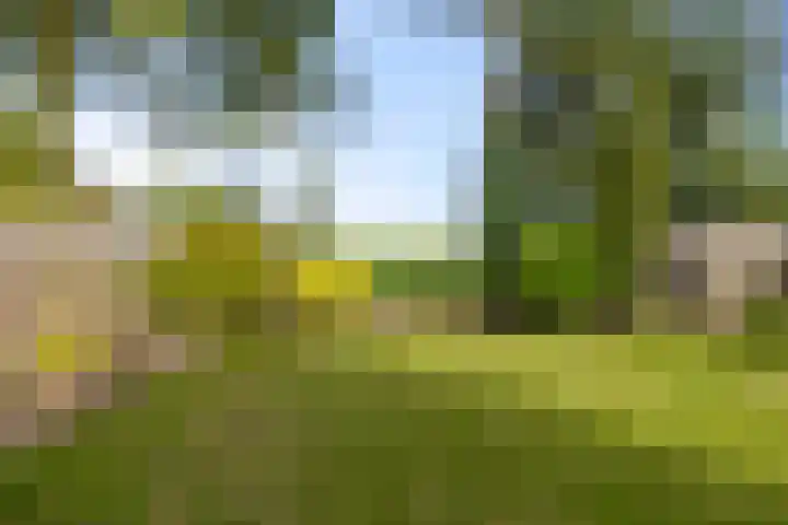 Texelstroom 33 Wieringerwerf thumbnail 26