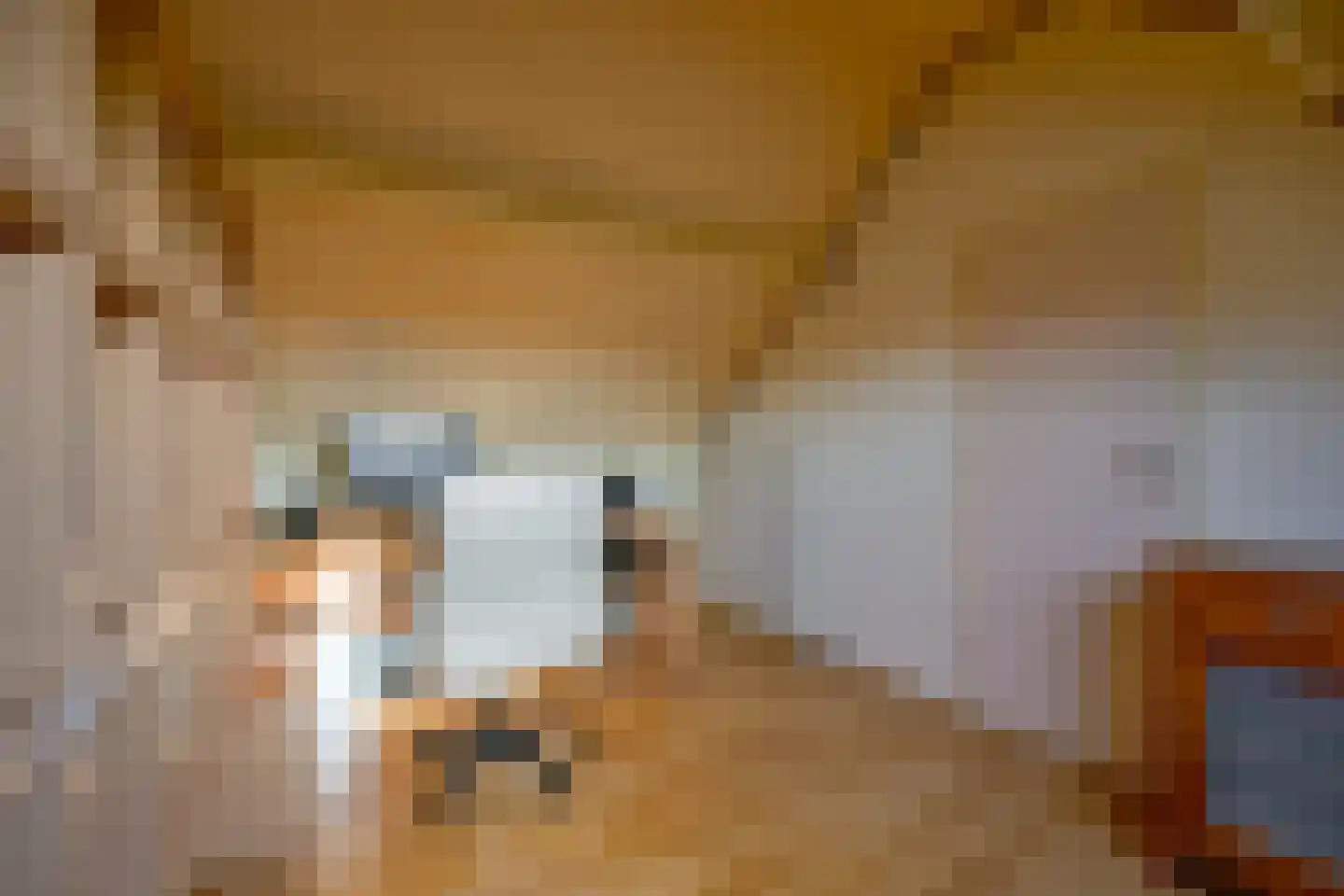 Texelstroom 38 Wieringerwerf thumbnail 25