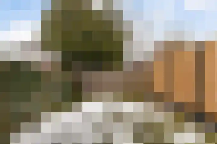 Texelstroom 43 Lelystad thumbnail 26