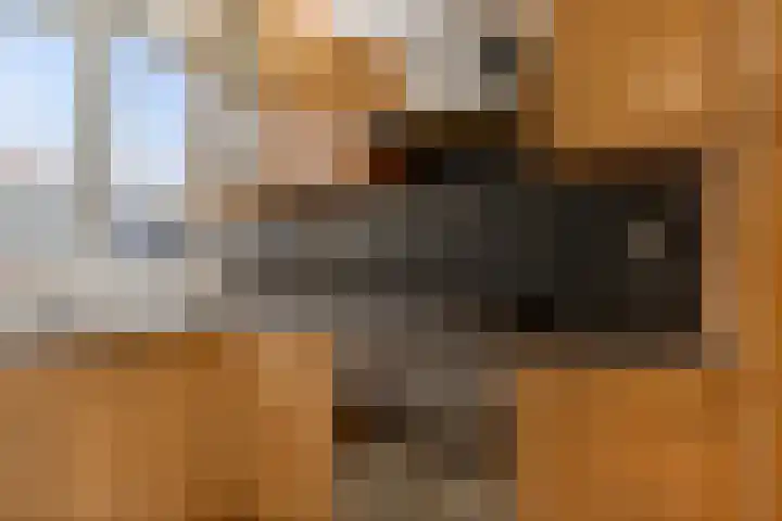 Texelstroom 43 Lelystad thumbnail 9