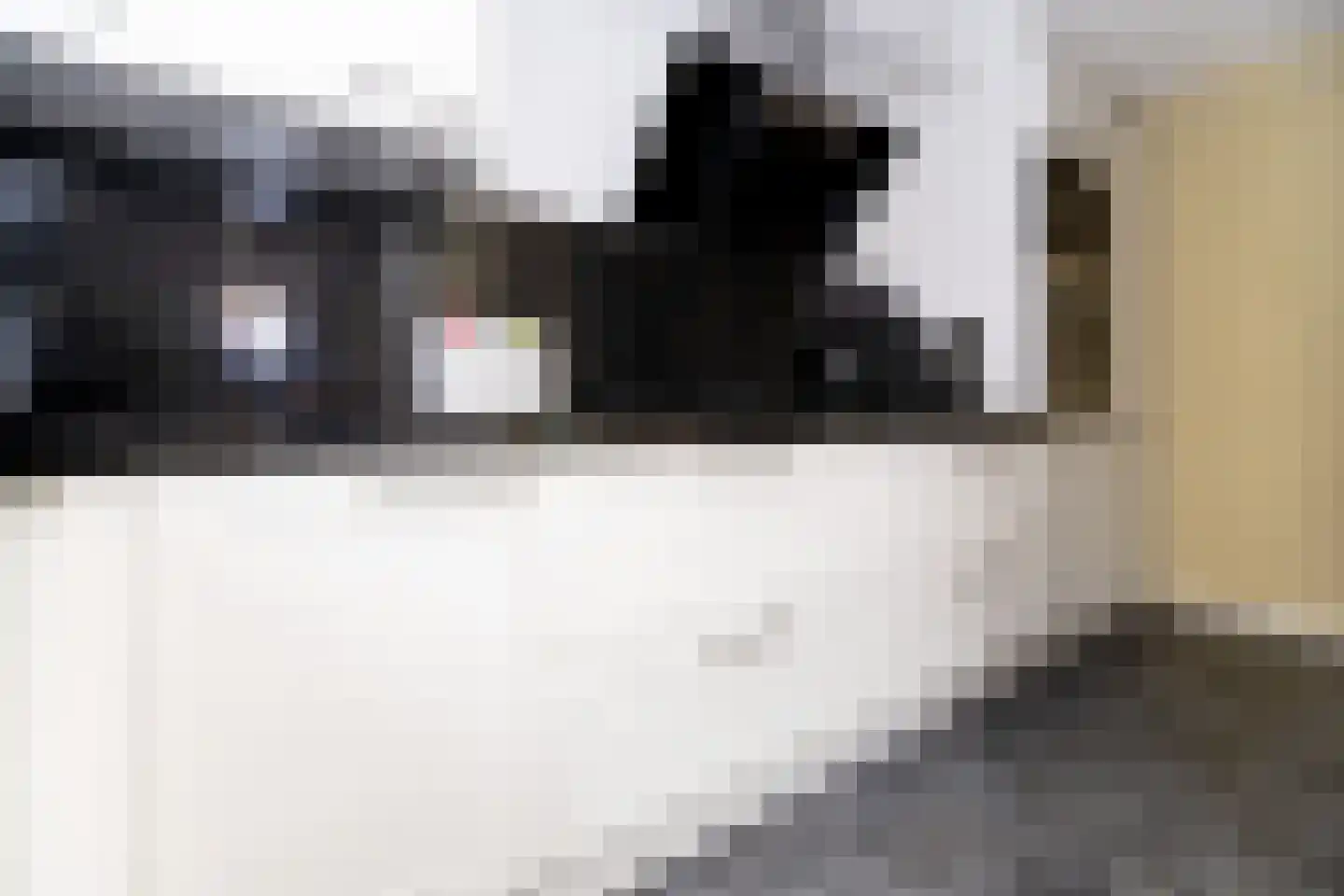 Texelstroom 44 Wieringerwerf thumbnail 11