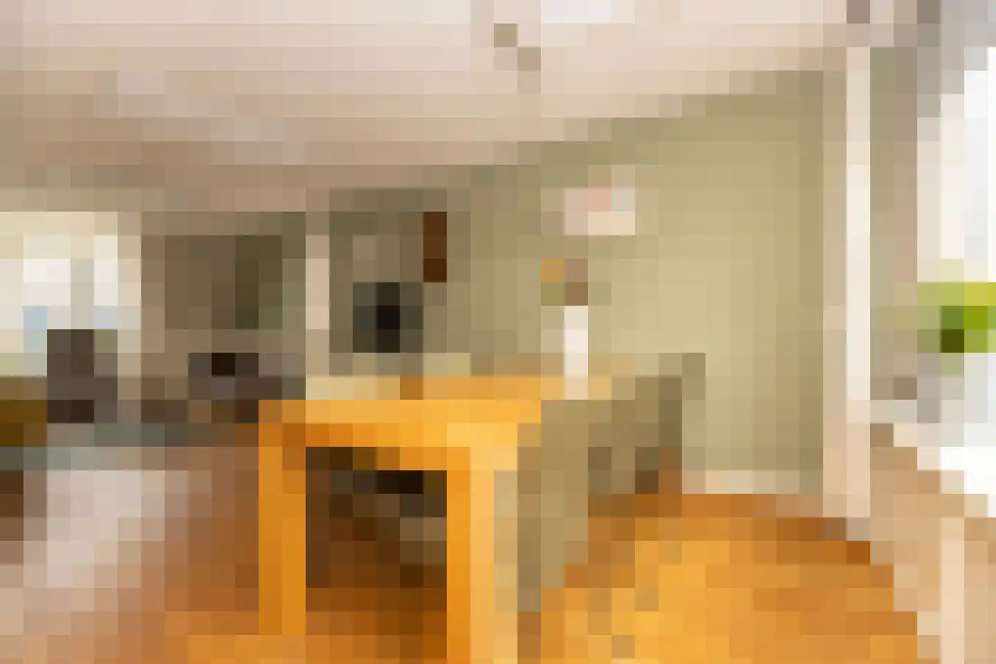 Texelstroom 44 Wieringerwerf thumbnail 9