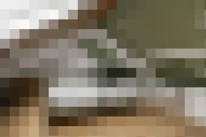 Texelstroomlaan 22 Den Helder thumbnail 21