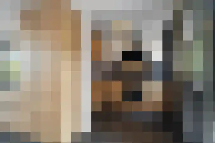 Texelstroomlaan 22 Den Helder thumbnail 7