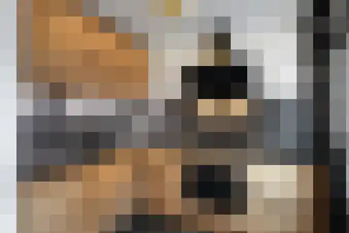 Texelstroomlaan 22 Den Helder thumbnail 8