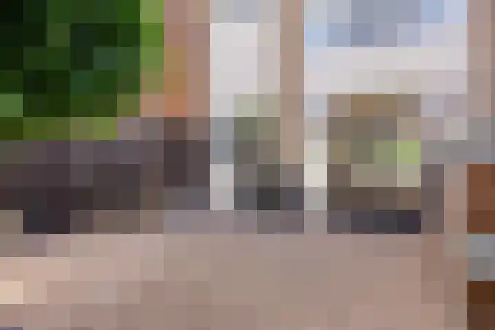 Texelstroomlaan 64 Den Helder thumbnail 18