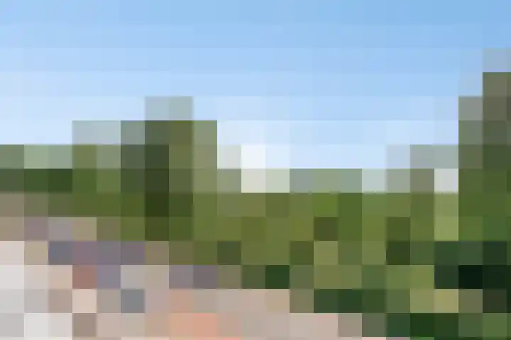 Texelstroomlaan 64 Den Helder thumbnail 21