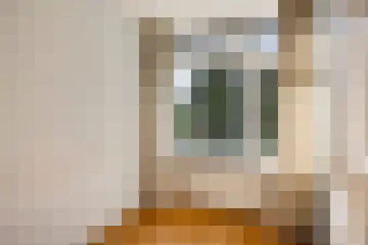 Texelstroomlaan 64 Den Helder thumbnail 28