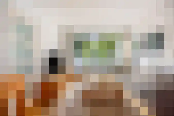 Texelstroomlaan 64 Den Helder thumbnail 8